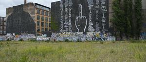 Ein riesiger Stinkefinger bedeckt nun die Brandschutzmauer an der Cuvrybrache.