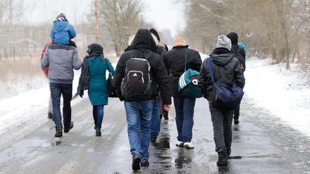 Illegale Immigranten passieren die serbisch-ungarische Grenze. Dort in der EU werden sie nicht gewollt.