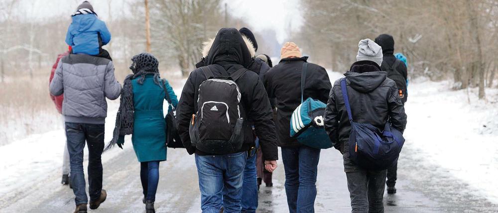 Illegale Immigranten passieren die serbisch-ungarische Grenze. Dort in der EU werden sie nicht gewollt.