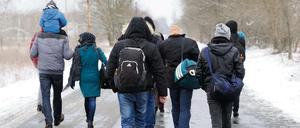 Illegale Immigranten passieren die serbisch-ungarische Grenze. Dort in der EU werden sie nicht gewollt.