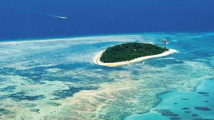 Gefährdete Farbenpracht. Das Great Barrier Reef vor der Ostküste Australiens wird durch Klimawandel, Stürme und Abwässer aus der Landwirtschaft massiv unter Druck gesetzt.