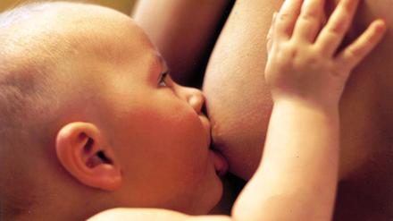 Ein Muttermilchverbraucher an der Brust der Mutter. Die Grünen haben 16 Proben Muttermilch untersuchen lassen - wobei Rückstände des Unkrautvernichters Glyphosat gefunden wurden.