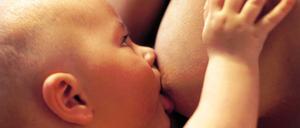 Ein Muttermilchverbraucher an der Brust der Mutter. Die Grünen haben 16 Proben Muttermilch untersuchen lassen - wobei Rückstände des Unkrautvernichters Glyphosat gefunden wurden. 