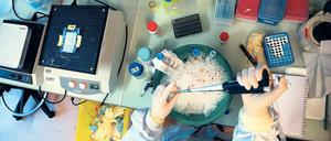 Ein Wissenschaftler pipettiert an einem Labortisch, auf dem ein mit Eis und Reagenzgläsern gefüllter Eimer steht.