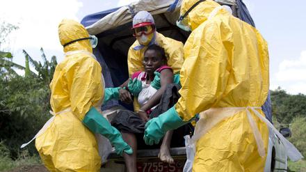 Eine Ebola-Patientin in Guinea wird in einen Truck geladen. In Westafrika starben bisher 11.000 Menschen an der Epidemie. Laut einer Studie sind jedoch noch mehr Menschen an Malaria gestorben.