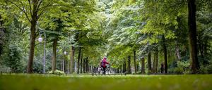 Wer den Gesang der Nachtigallen liebt, muss in den Tiergarten. Der Park ist ihr Berliner Lieblingsort. 