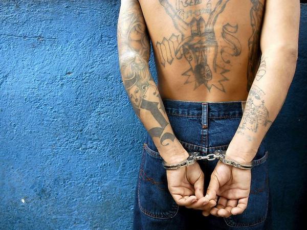 Abschreckung lohnt sich: Manchnal müssen die Strafverfolger zu drastischen Mitteln greifen.