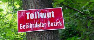 "Tollwut - Gefährdeter Bezirk" steht auf dem roten Warnschild, das an den Baum genagelt ist.