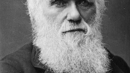 Charles Darwin heiratete seine Cousine Emma Wedgwood - und war in Sorge, ob ihre Kinder dadurch Nachteile hätten.