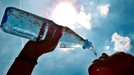 Bei Hitze gilt: trinken, trinken, trinken. 