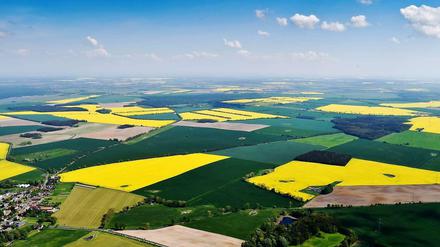 Von Nahem betrachtet ist Landwirtschaft in Brandenburg weniger idyllisch... 