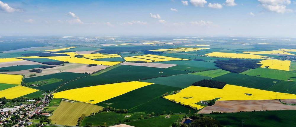 Von Nahem betrachtet ist Landwirtschaft in Brandenburg weniger idyllisch...