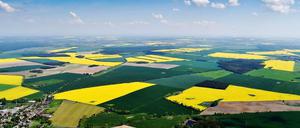 Von Nahem betrachtet ist Landwirtschaft in Brandenburg weniger idyllisch... 