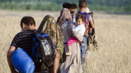 72.000 Flüchtlinge sollen in diesem Jahr nach Ungarn gekommen sein. Demnächst soll ein Grenzzaun sie von der EU fernhalten.
