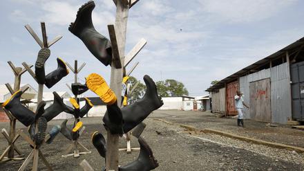 Ebola ist nach Liberia zurückgekehrt. Seit 9. Mai galt das Land als frei von der Seuche, doch inzwischen werden drei Neuinfizierte behandelt - wie hier in Paynesville, wo Pfleger und Ärzte ihre Stiefel nach dem Desinfizieren zum Trocknen aufhängen. 