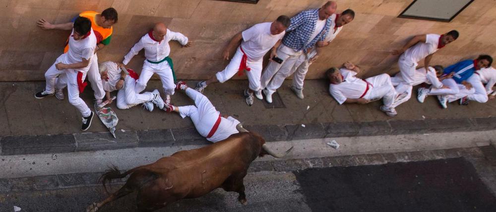 Gefahr. Diese Männer gehören zu den etwa 3000 "mozos", die knapp vor den Stieren um Leben rennen.