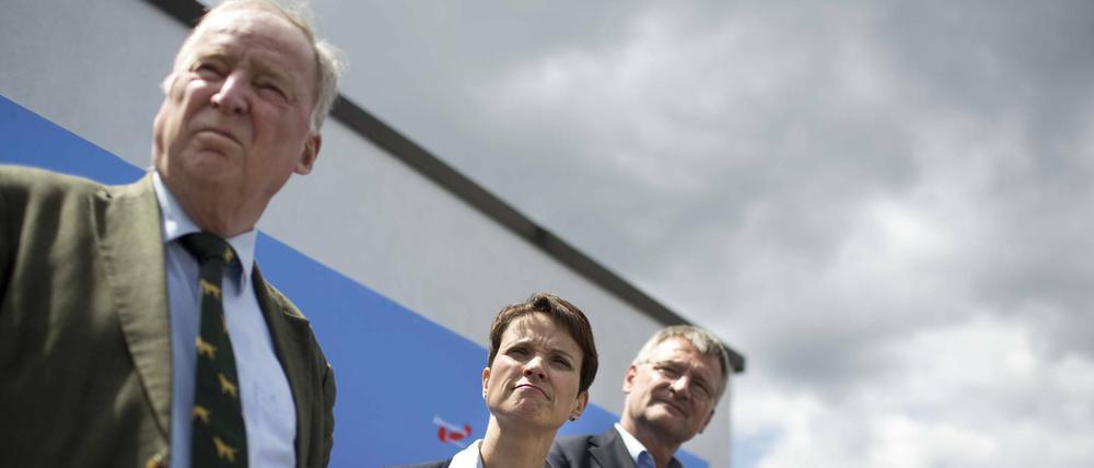 Der neue AfD-Vorstand um Frauke Petry stellte sich am Freitag der Presse.
