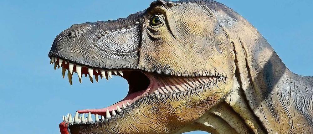 So sah er aus. Der riesige Raubsaurier, dessen Skelett ab Dezember im Naturkundemuseum zu sehen sein soll. Das Foto zeigt eine plastische Nachbildung.