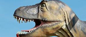 So sah er aus. Der riesige Raubsaurier, dessen Skelett ab Dezember im Naturkundemuseum zu sehen sein soll. Das Foto zeigt eine plastische Nachbildung. 