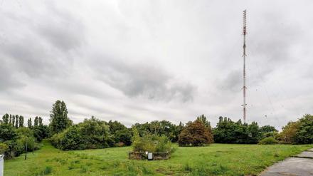 Allein auf weiter Flur. Der Sender Briitz wird bald besprengt.