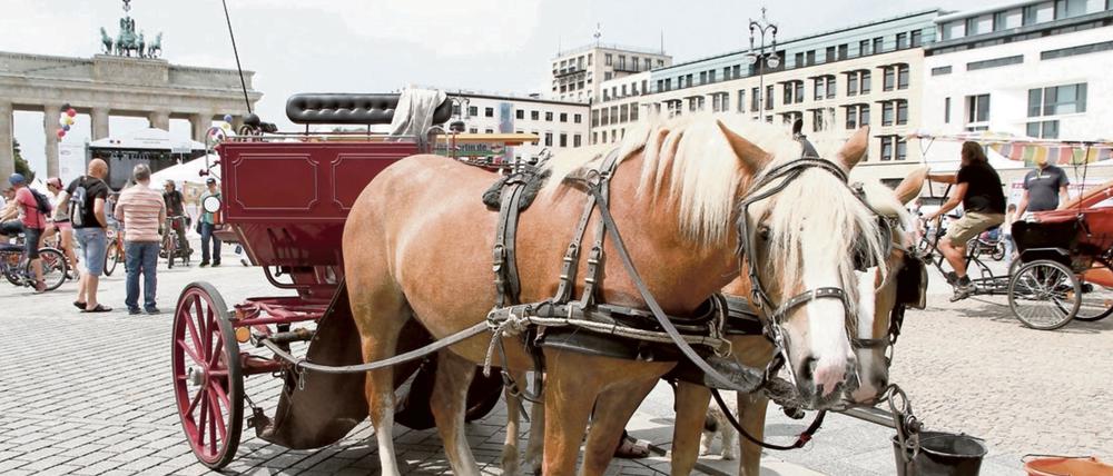 Pferdedroschken auf dem Pariser Platz am Brandenburger Tor.
