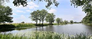 Menschenleer kann ja auch sehr schön sein: der Nationalpark Unteres Odertal bei Schwedt.
