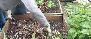 Hand anlegen. Säen, pikieren, gießen, ernten: Urban Gardening wird in Ballungsräumen immer wichtiger. UdK-Studierende lernen, wie es geht.
