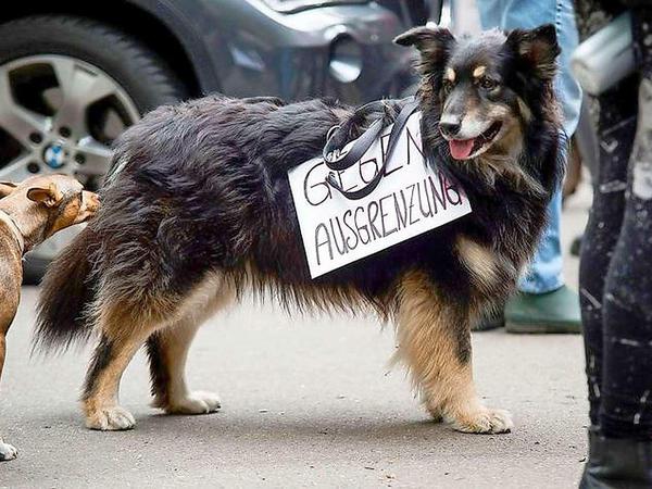 Demo für und mit Hund.