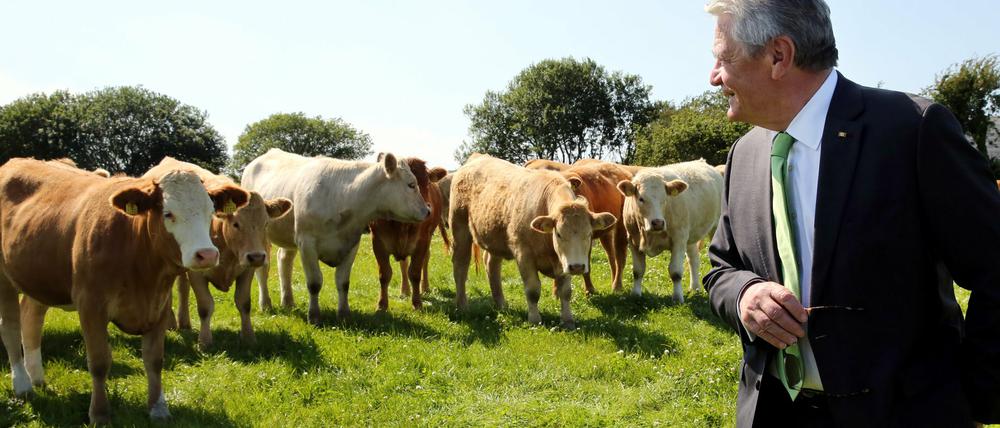 Bundespräsident Joachim Gauck besucht im Rahmen seines dreitägigen Staatsbesuchs am 15.07.2015 in Ballyvaugha in Irland die Droney Rinder- und Schaffarm. Aber Irland hat nicht nur Kühe. Die Wirtschaft wächst rasant.