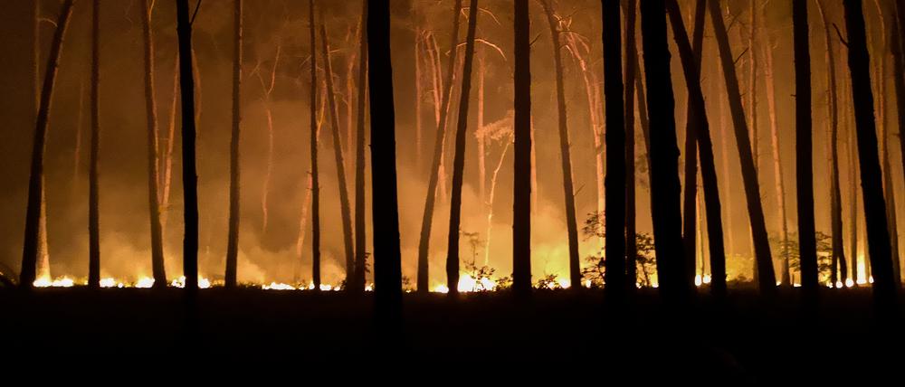 Die Waldbrandgefahr nahm laut DWD-Daten von rund 27 Tagen mit hohem Risiko von 1961 bis 1990 auf 38 Tage im Zeitraum 1991 bis 2020 zu.