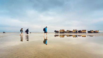 Watt ihr wollt. Wanderer und Pferdekutschen durchqueren einen Priel zwischen Sahlenburg und der Insel Neuwerk. 