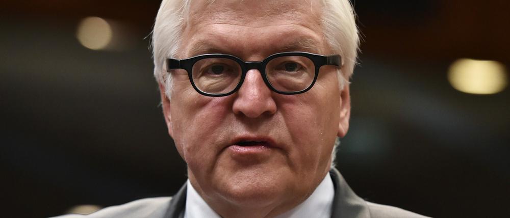 Bundesaußenministerer Frank-Walter Steinmeier,