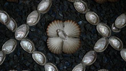 Mehr als 24.000 Muscheln, Minerale, Fossilien und Edelsteine schmücken den Saal. 