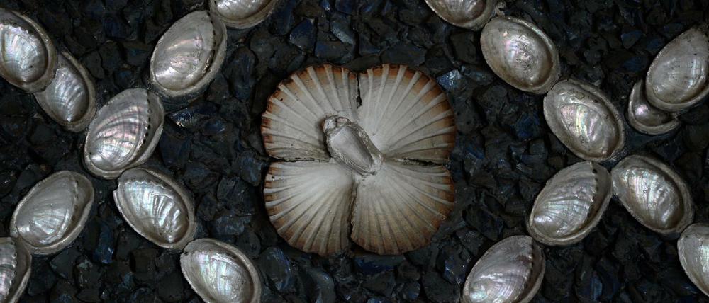 Mehr als 24.000 Muscheln, Minerale, Fossilien und Edelsteine schmücken den Saal. 