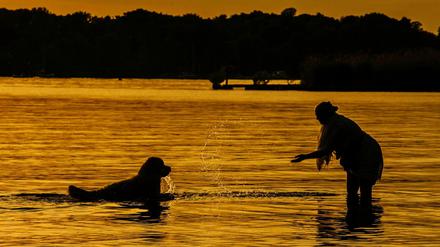 Da freut sich der Hund: Eine Frau gönnt ihrem Vierbeiner eine Abkühlung in der Havel.