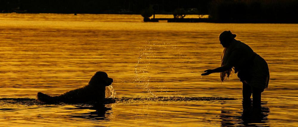 Da freut sich der Hund: Eine Frau gönnt ihrem Vierbeiner eine Abkühlung in der Havel.