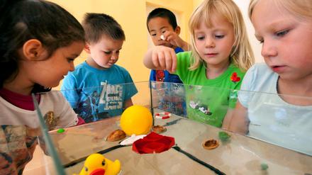Kinder aus einer Kindertagesstätte in Ilmenau experimentieren mit der Tragfähigkeit von Wasser. Zahlreiche Politiker fordern, frei gewordene Mittel in den Ausbau der Kitas zu stecken.