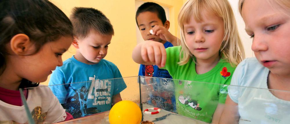 Kinder aus einer Kindertagesstätte in Ilmenau experimentieren mit der Tragfähigkeit von Wasser. Zahlreiche Politiker fordern, frei gewordene Mittel in den Ausbau der Kitas zu stecken.