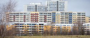 Die Nachfrage nach Mietwohnungen ist in Berlin groß. Trotzdem gibt es viele Möglichkeiten, ein schönes Zuhause zu finden.