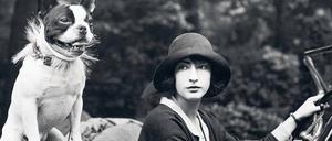 Das Bild zeigt eine Berlinerin im Jahr 1924 mit ihrer Französischen Bulldogge im Cabriolet.