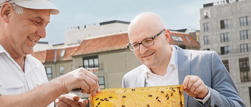 Brandenburgs Staatssekretär Thomas Kralinski (SPD) und Imker Holger Ackermann (l.) nehmen am 21.07.2015 auf dem Dach der Landesvertretung Brandenburgs in Berlin an der ersten Honigernte zweier Bienenstöcke teil. 