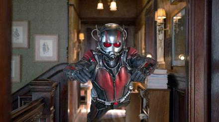 Held mit Schrumpfanzug: "Ant-Man" Scott Lang