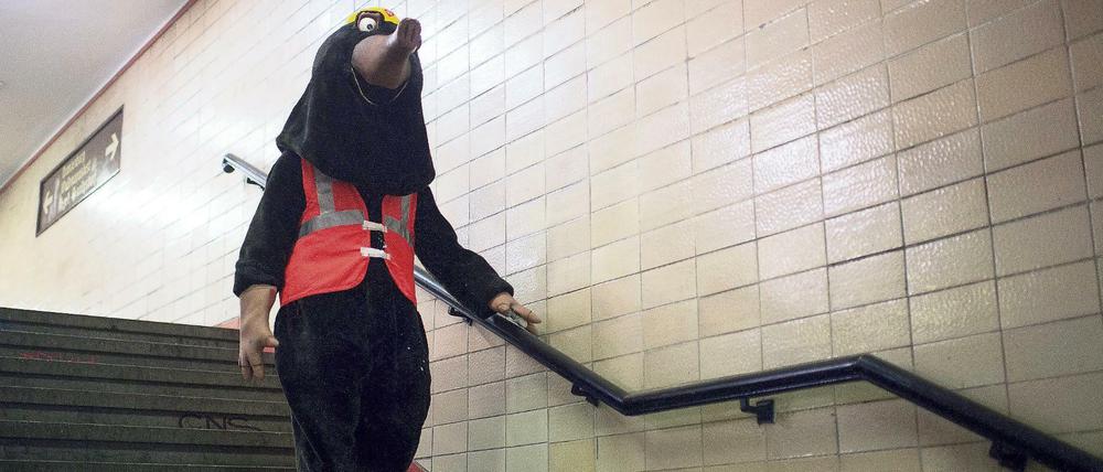 Maulwürfe stehen unter Schutz. Man darf sie verteiben, aber ihnen nichts antun. Und in Bahnhöfen richten sie auch keinen Schaden an.