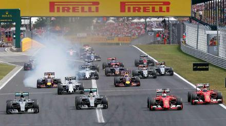 Zu viele Fehler: Nico Rosberg (l.) und Lewis Hamilton (2.v.l.) patzten bereits beim Start am Hungaroring. 