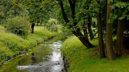 Blick auf den Fluss Panke im Bürgerpark im Bezirk Pankow.