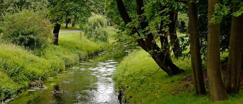 Blick auf den Fluss Panke im Bürgerpark im Bezirk Pankow.