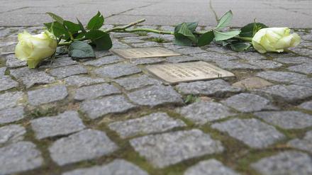 Gehwegpflaster mit Stolpersteinen und Blumen.