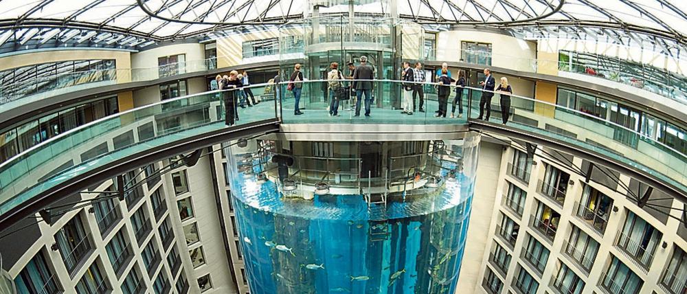 Glasklar: Die Fische im Aquadom des "Sealife" sind nicht billig - deshalb wird viel technischer Aufwand betrieben, um die Wasserqualität zu sichern.
