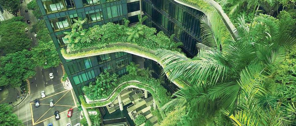 Gärten in luftiger Höhe. Das Parkroyal Hotel verbindet spektakuläre Architektur mit Nachhaltigkeit.