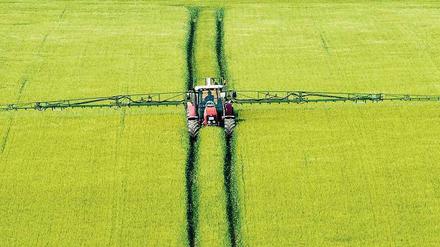 Allgegenwärtig. Das Pflanzenschutzmittel Glyphosat wird auf 30 bis 40 Prozent der deutschen Äcker versprüht.